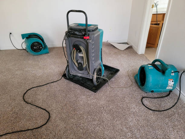 Best Water damage contractors near me  in Louisville, CO