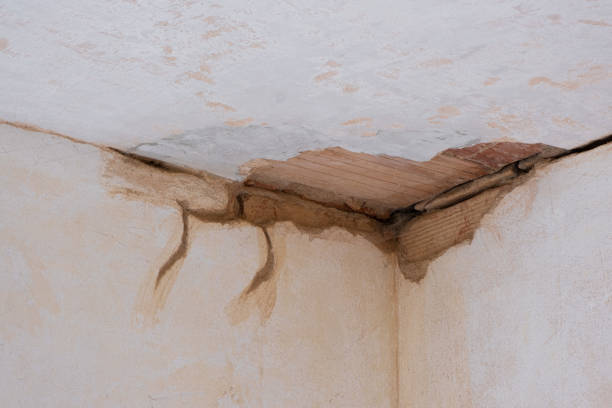 Best 24-hour water damage restoration  in Louisville, CO