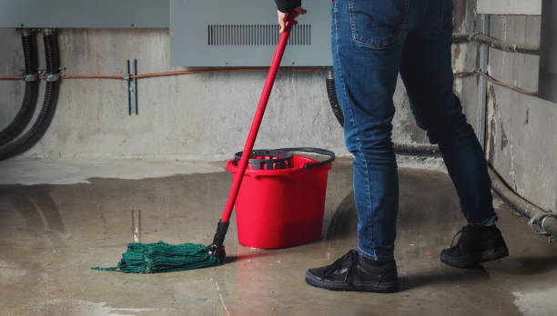 Best Fire Damage Restoration  in Louisville, CO
