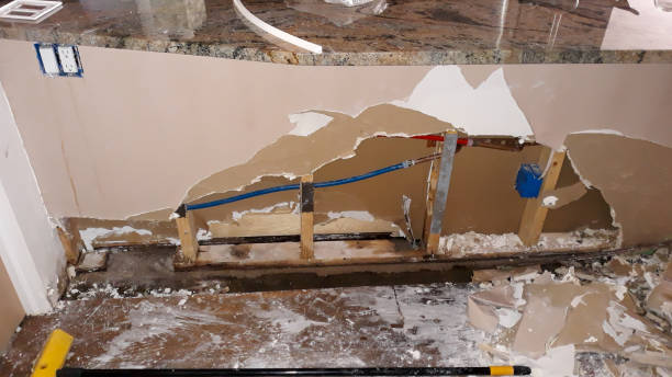 Best Carpet water damage restoration  in Louisville, CO