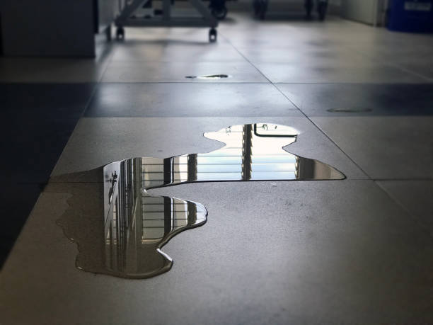 Best Water damage repair service  in Louisville, CO