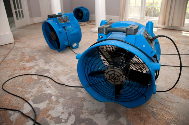 Best Flood damage cleanup  in Louisville, CO