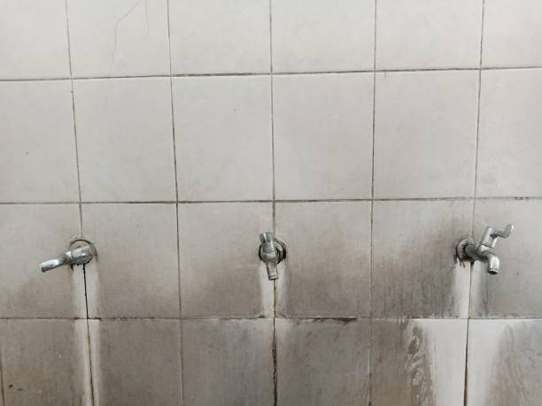 Best Emergency water damage restoration  in Louisville, CO