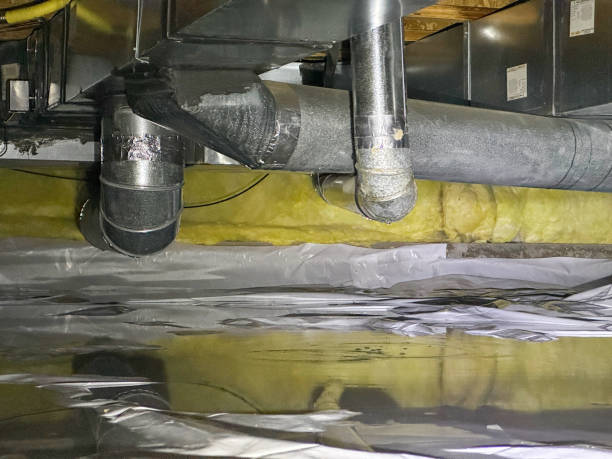 Best Local water damage restoration  in Louisville, CO