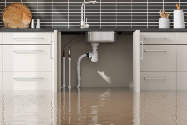 Best Water damage restoration near me  in Louisville, CO