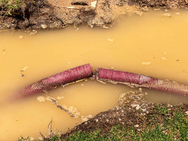 Best Water damage mitigation services  in Louisville, CO