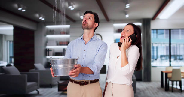 Best Basement water damage restoration  in Louisville, CO