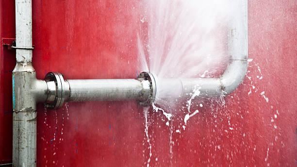 Best Water damage restoration mold remediation  in Louisville, CO